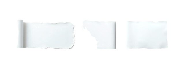 Torn white paper, torn edge, exhibiting a wrinkled texture, torn white paper isolated on background with clipping path.
