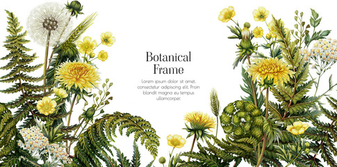 Illustration frame of white and yellow wildflowers. Dandelion, buttercup, fern, yarrow. Arch of medicinal plants. Template with flowers for invitations, packaging, brochures