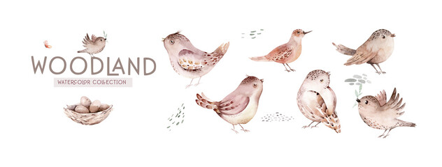 Bird set watercolor illustration. Finch, red cardinal, eastern bluebird, goldfinch, robin, wren image. Realistic garden and forest birds collection. Beautiful backyard avian set on white background