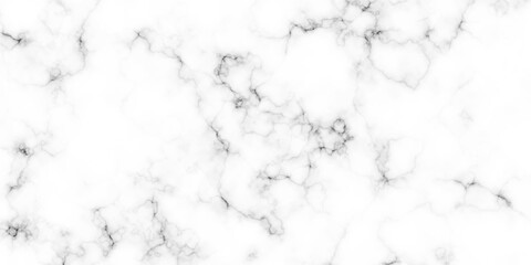 Light White Marble Texture with Dark Veins
