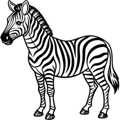 Obraz premium zebra vector illustration