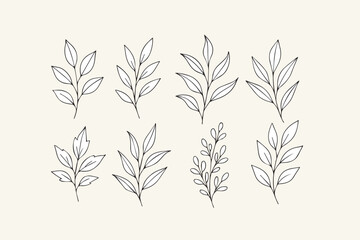 Fototapeta premium Botanical line art