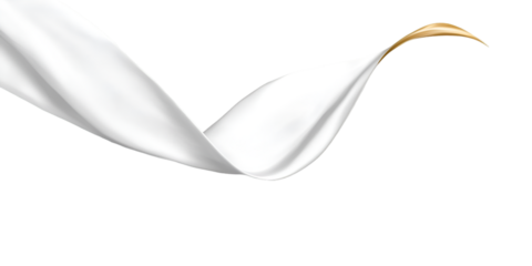 Adaptive Technology Keyboard Isolated on Transparent Background

