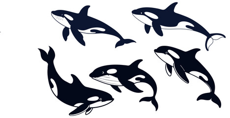 Obraz premium killer whale orca silhouettes vector set.Black white vector illustration of sea predatory fish. 