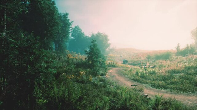 A gentle trail meanders through lush greenery, illuminated by the soft morning light. Trees surround the pathway, revealing a serene, vibrant landscape filled with wildflowers.