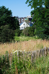 Residential houses and low rise apartment blocks with the Zavelenberg nature reserve in the foreground in Berchem Sainte Agathe