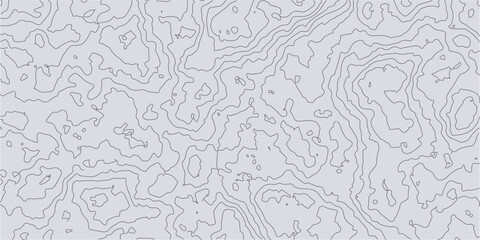 Minimal Topography Pattern Illustration  
