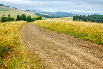 travel mountain landscape with path through meadow in summer. nature background with overcast sky....