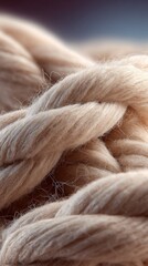 Fototapeta premium Beige Twisted Rope Abstract Texture