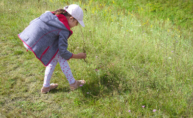 Child picking flowers in a grassy field on a sunny day