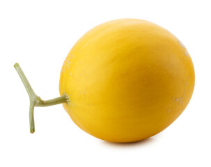 Golden Melon isolated on a transparent background