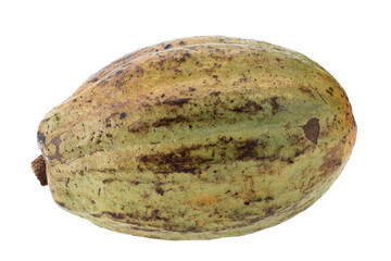 Ripe Cocoa Fruit Pod with Textured Outer Shell isolated on a transparent background