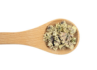 Flat lay view of dry White clover Trifolium repens blossoms herbal tea powder on wood spoon, isolated on white background.