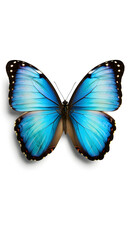 Obraz premium Motocross rider in mid-air jump, surrounded by other racers on a dirt track.