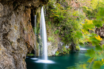 waterfall in the forest