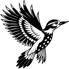 Obraz premium eagle vector illustration