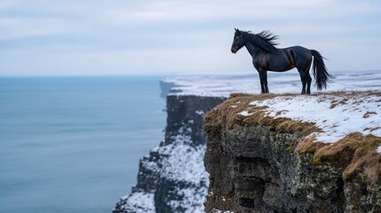 A majestic black horse standing on a cliff overlooking a vast ocean under a cloudy sky landscape view