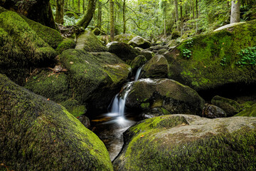 waterfall in the forest