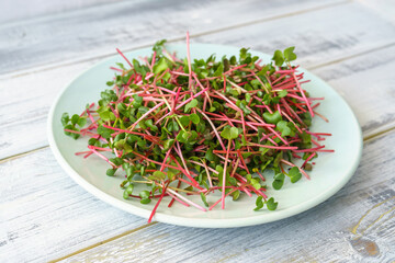 Fresh red radish microgreens on a white plate. Healthy sprout plant ingredient for vegan and...