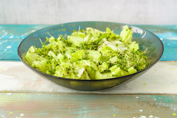 Fresh green microgreen salad on a light blue plate. A natural and organic concept for healthy eating and spring or summer food presentations.