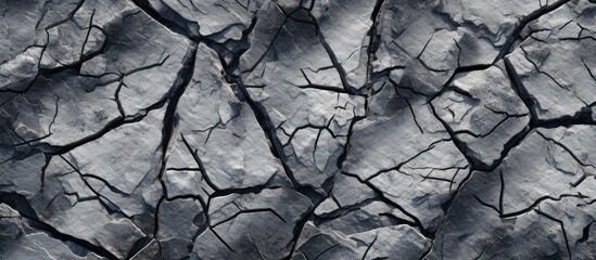 Old dry cracked wood texture and parched earth patterns describe a drought-stricken natural surface