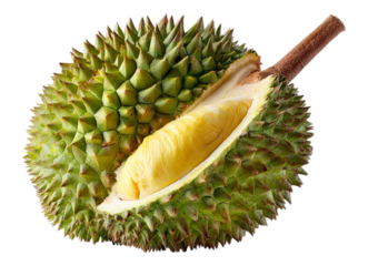 Durian Fruit Distinctive