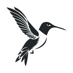 Fototapeta premium Monochrome hummingbird illustration in flight with detailed wings