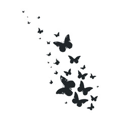 Silhouette of butterflies fluttering across white background