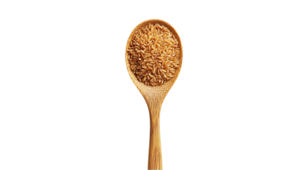 Wooden spoon filled with uncooked brown rice grains isolated on transparent background