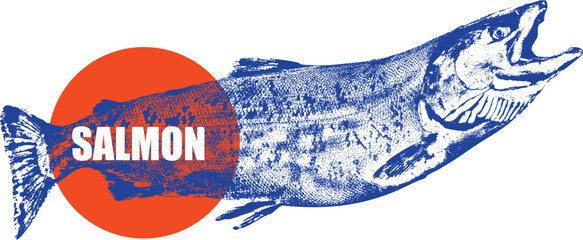 Salmon fish, seafood illustration, vintage fish drawing, engraving style, food packaging, restaurant branding, fish market, sushi menu, organic seafood, retro seafood art logo