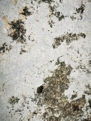 Old cracked concrete wall with rough texture and signs of decay.