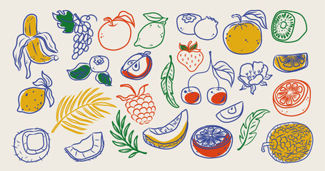 Collection of colorful hand-drawn tropical fruit doodles: banana, lemon, kiwi, orange, cherry, melon, raspberry, coconut, citrus slices, palm leaves. Fun summer vector icons for print or design.
