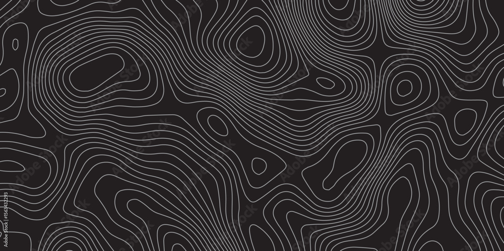 Poster geometric abstract gray contour background with flowing topographic line pattern.
