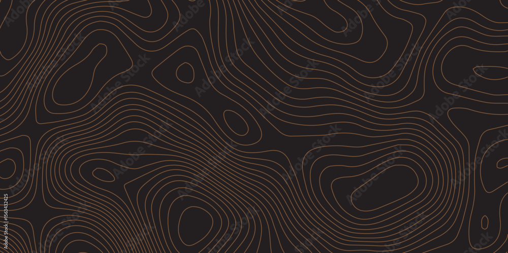 Poster geometric abstract topography line pattern on black for tech and mapping themes.