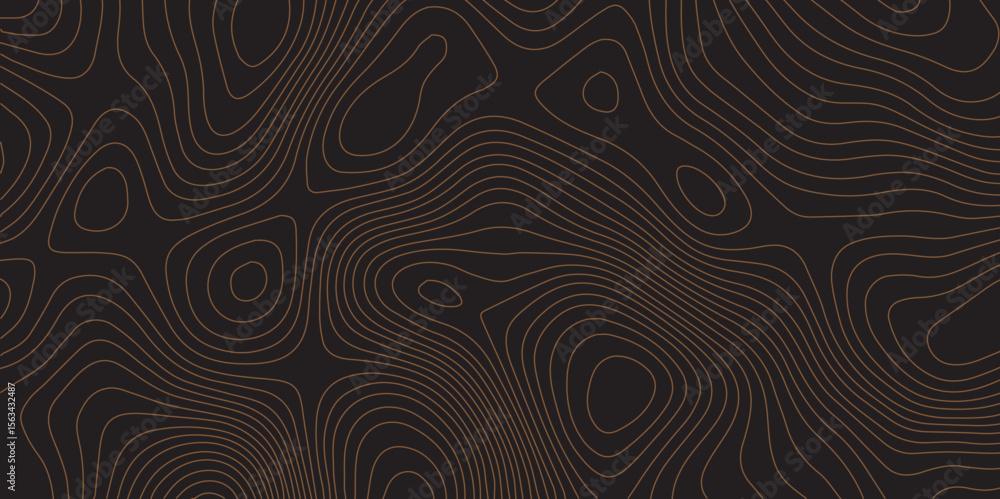 Poster elegant black topographic line background with modern abstract contour pattern.