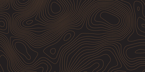 High-resolution black abstract topographic lines for modern background design.