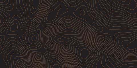 Elegant black topographic line background with modern abstract contour pattern.