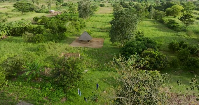 Aerial view of thatched hut among trees, Uganda.