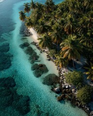 Aerial View of Tropical Island with Palm Trees and Turquoise Water
