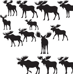 Moose Vector In Black and White
