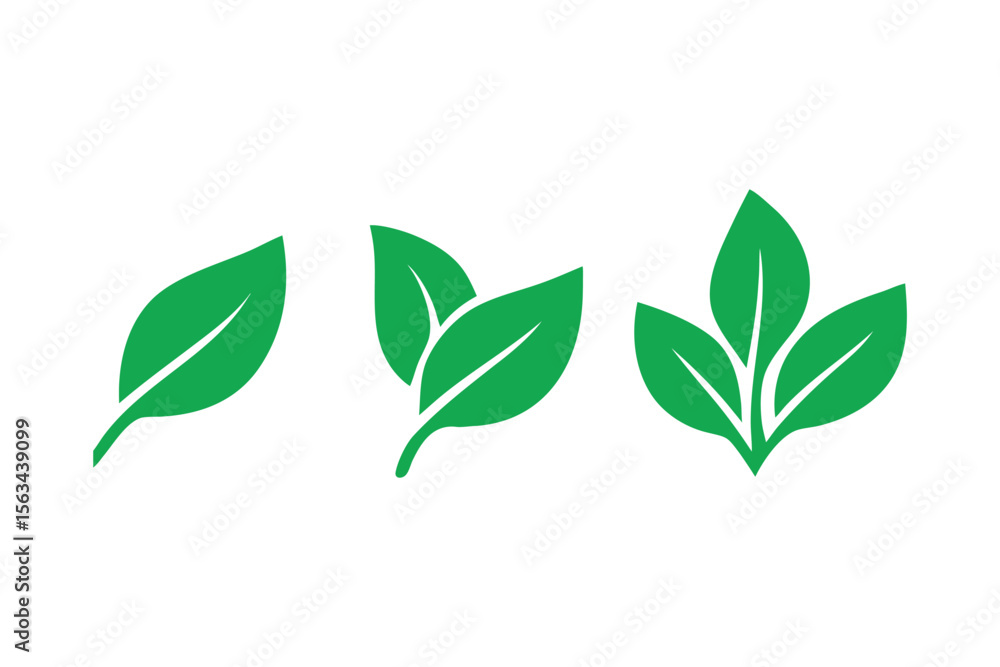 Poster progression of leaf growth displaying the development from single leaf to clusters symbolizing plant