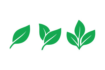 Progression of Leaf Growth Displaying the Development From Single Leaf to Clusters Symbolizing Plant Life and Greenery