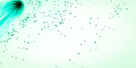 Artistic Pattern and Texture Combined with Golden Elements