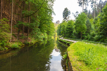 Scenic forest trail leading to the famous Bastei Bridge in Saxon Switzerland, Germany. Surrounded by lush greenery, sandstone cliffs and a small dam, this popular route offers pure hiking charm