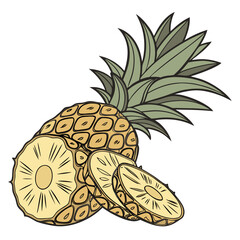 Pineapple Fruit Isolated on White Background Vector Illustration
