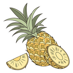 illustration of pineapple on white background