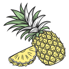 pineapple vector illustration