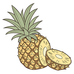 Pineapple Fruit Isolated on White Background Vector Illustration