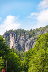 Dramatic sandstone cliffs rise above lush green forest in Saxon Switzerland National Park near Rathen, Germany, under a bright blue summer sky – a stunning natural landscape.