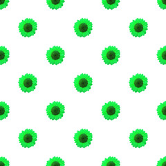 Seamless Pattern of Lime Green Sunflowers Isolated on Transparent Background, PNG file